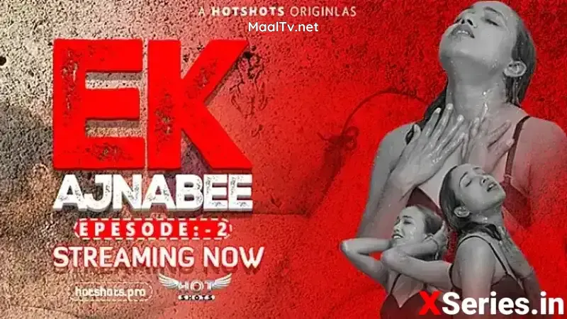 Ek Ajnabee (Fliz Movies Web Series)