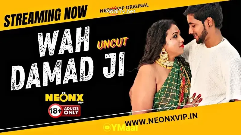 Wah Damad Ji (NEONX Web Series)